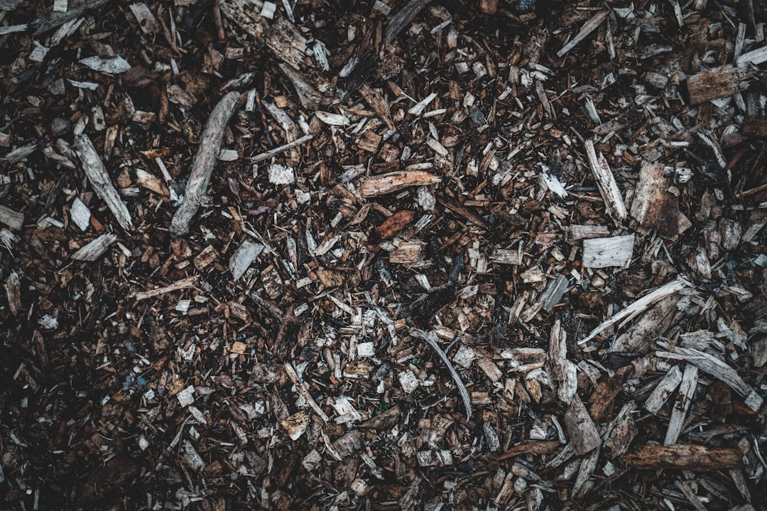 Fresh wood-chip mulch ready to spread across garden beds to retain moisture and suppress weeds